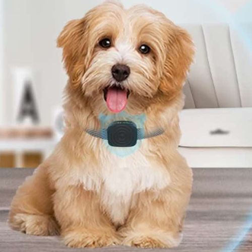 collier-anti-aboiement-pour-chien-utile