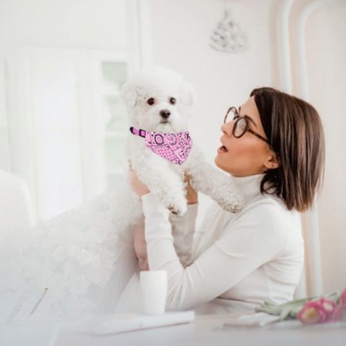 collier-chien-bandana-rose-motifs