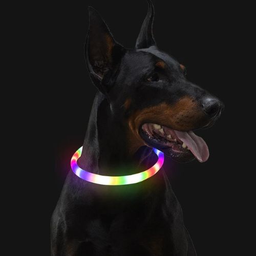 collier lumineux pour chien led Doberman