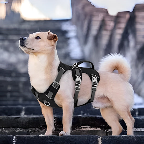 harnais anti traction chien couleur noir