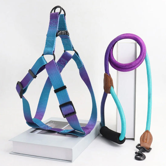 harnais en y chien teintes violet bleu avec laisse