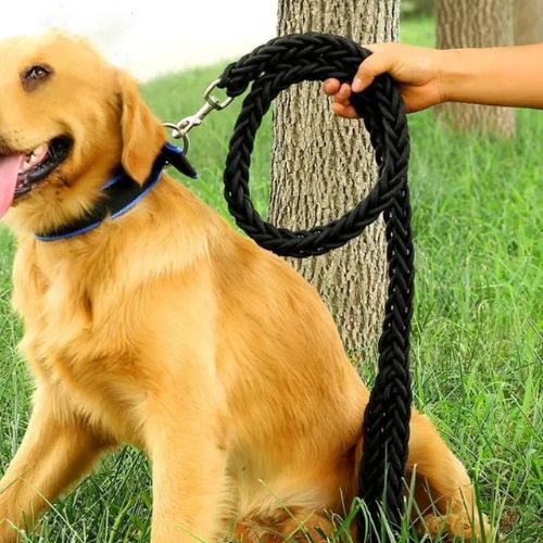 laisse pour chien noir grosse canin assis gazon