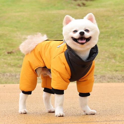 manteau chien coloris jaune noir