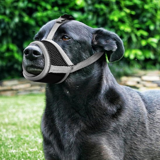 Muselière pour chien grand canin noir parc