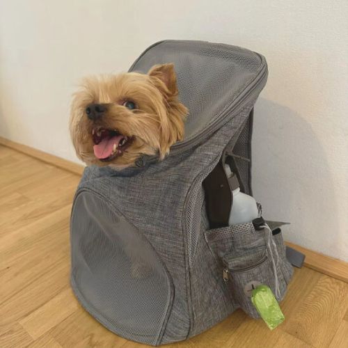 sac-a-dos-pour-chien-pochette-utile-avec-gourde-dedans