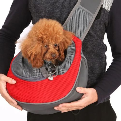 sac de transport pour chien rouge gris petit caniche brun