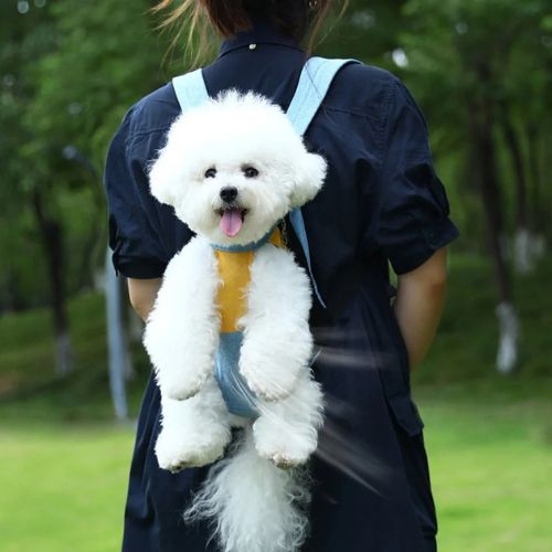 sac de transport pour chien jeans jaune