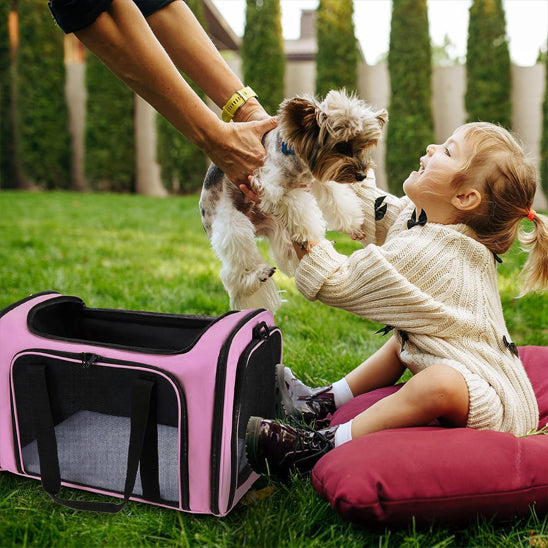 sac-pour-transporter-chien-rose-joue-par-terre