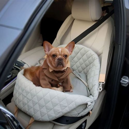 sac-pour-transporter-un-chien-canin-sortie-pour-balade-en-voiture