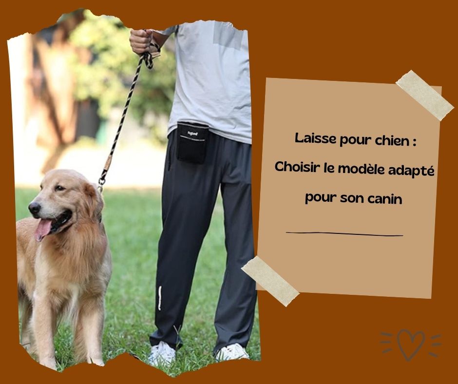 Laisse pour chien : Choisir le modèle adapté pour son canin
