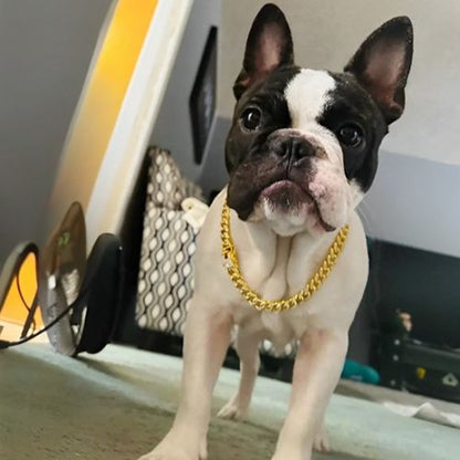 collier-chaine-pour-chien-brillant-scintillant