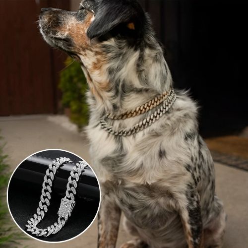 collier-chaine-pour-chien-couleur-argent