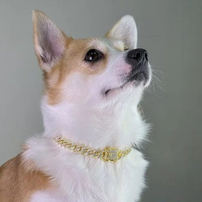 collier-chaine-pour-chien-or-chic