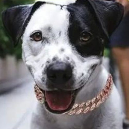 collier-chaine-pour-chien-rose-style