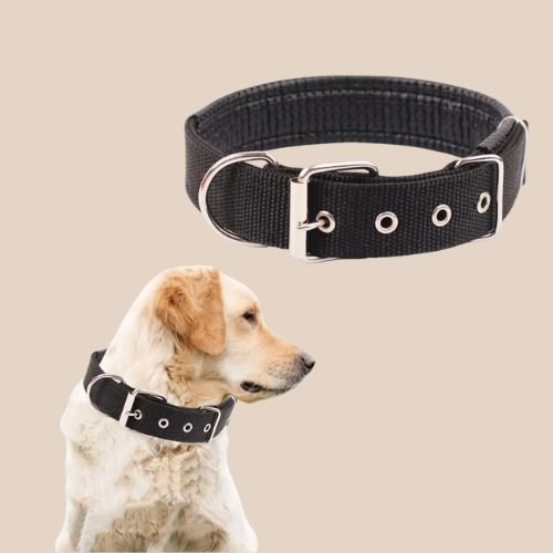 collier-chien-confortables