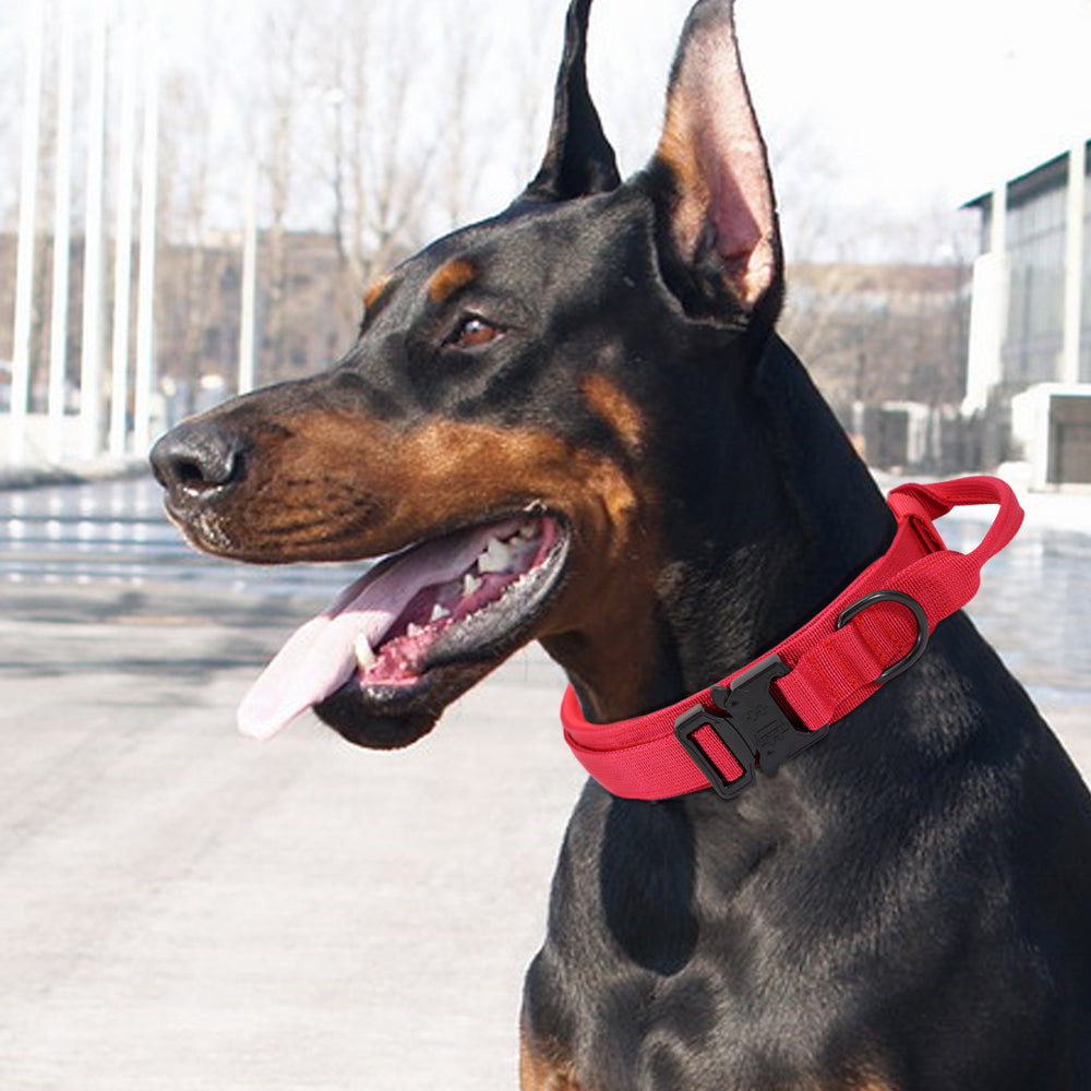 collier-chien-rouge