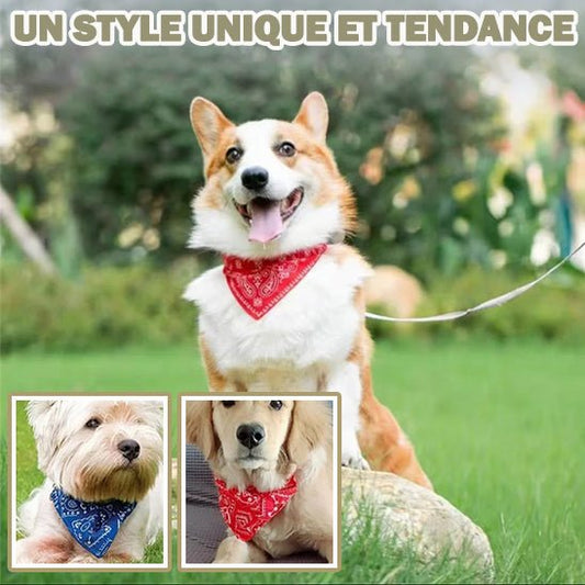 collier-chien-tendances