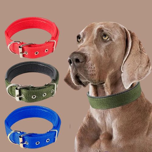 collier-chien-tissu