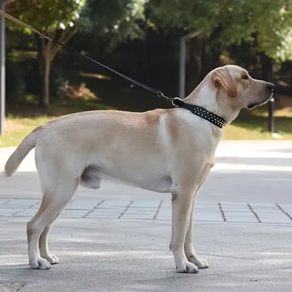collier-en-cuir-pour-chien-anneau
