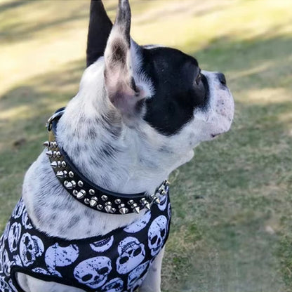 collier-en-cuir-pour-chien-avec-clous