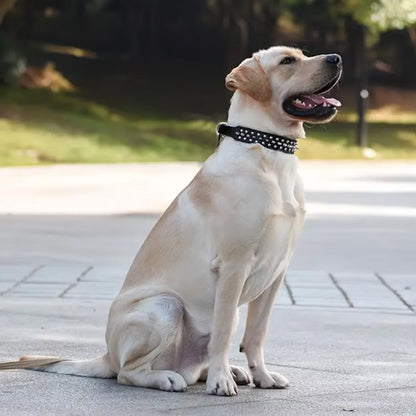 collier-en-cuir-pour-chien-flexible