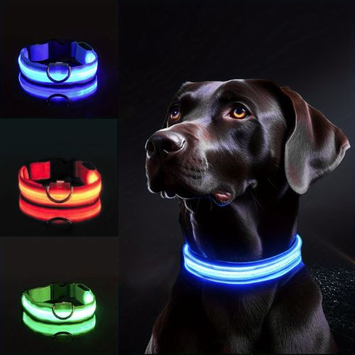 collier-lumineux-chien-bleus