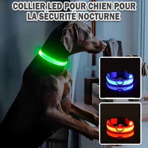 collier-lumineux-chien-nocturnes