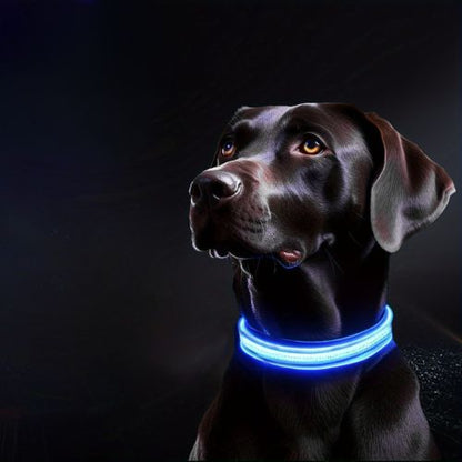 collier-lumineux-chien-protection-nocturne