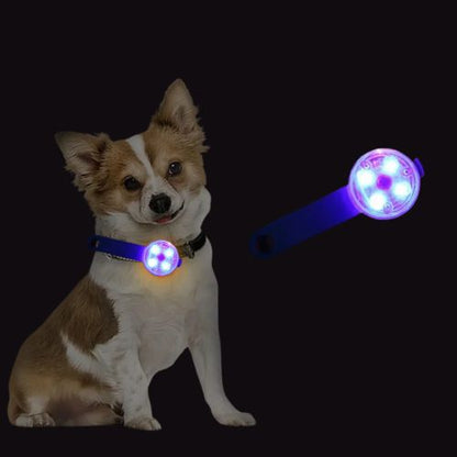 collier-lumineux-chien-tout-bleu
