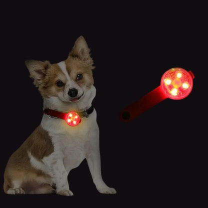 collier-lumineux-chien-tout-rouge