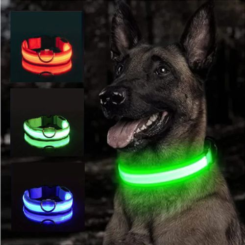 collier-lumineux-chien-verts