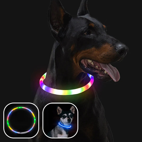 collier-lumineux-pour-chien-multicolore