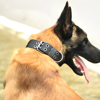 collier-pour-chien-canin-bergerallemand