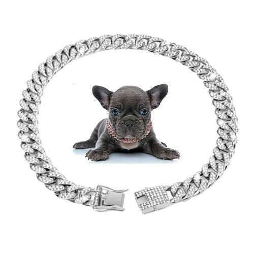 collier-pour-chien-couleur-argent