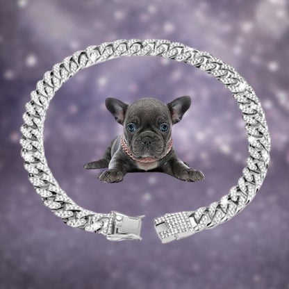 collier-pour-chien-couleur-argent