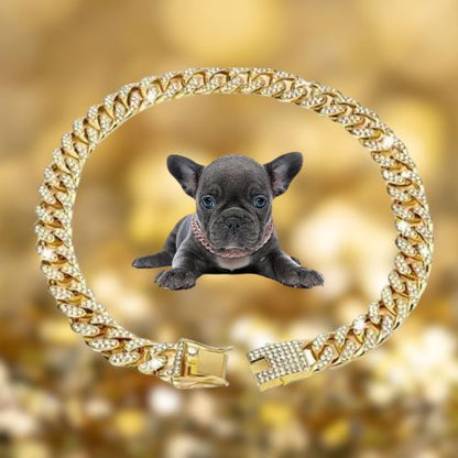 collier-pour-chien-or