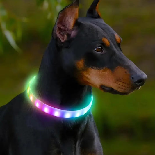 colliers lumineux pour chiens multicolores doberman