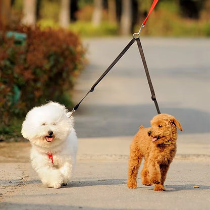 double laisse pour chien bichon caniche promenade