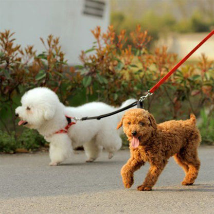 double laisse pour chien deux canins promenade maitre
