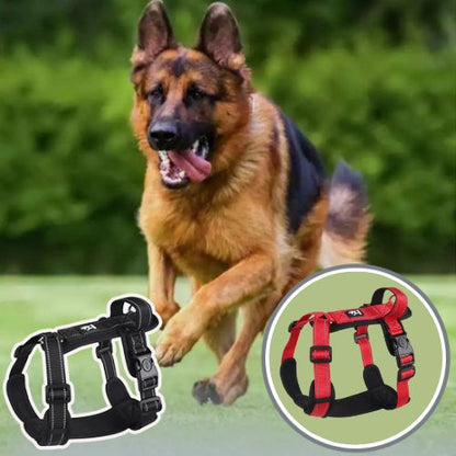 harnais-anti-traction-chien-rouges