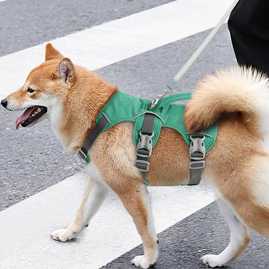 harnais anti traction chien couleur vert