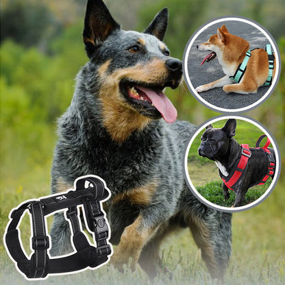 harnais-anti-traction-chien-variantes