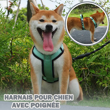 harnais-anti-traction-chien-verts
