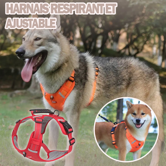 harnais-chien-anti-traction-rouges