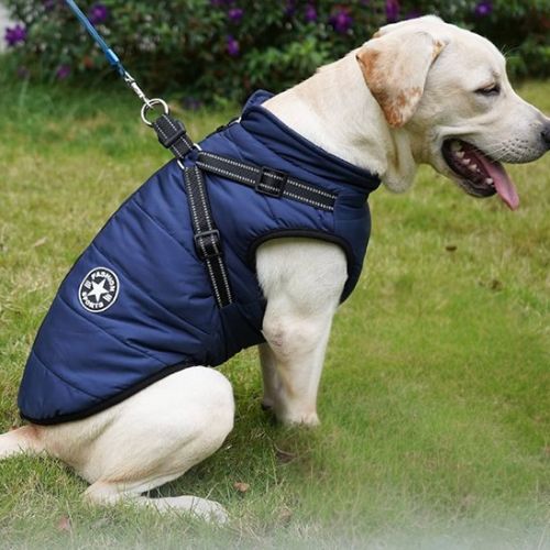 HARNAIS CHIEN | Comfort-Heat™