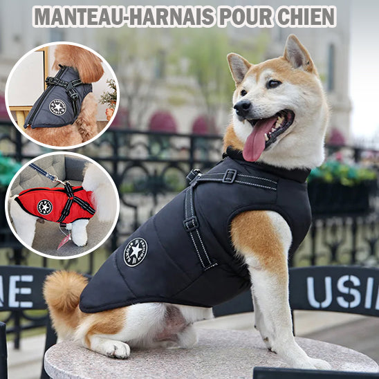 harnais-chien-manteau