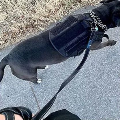 harnais chien noir labrador noir maitre promenade