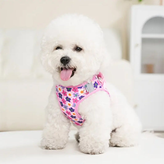harnais pour petit chien rose motif fleurs couleurs bichon blanc