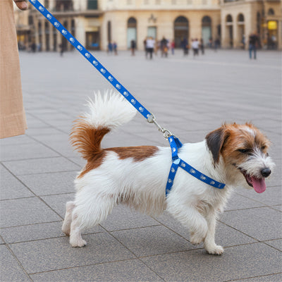 harnais y chien bleu petit canin avec son maitre