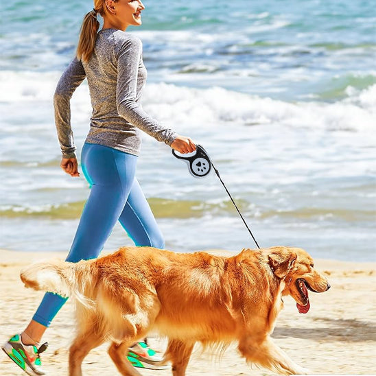laisse a enrouleur pour chien noir golden maitre plage